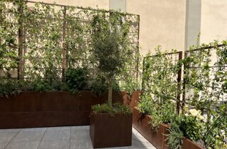 Marotta Fine Gardening - Artigiani del Verde - Portfolio di Progetti per Giardini e Terrazzi di Alto Livello per Privati e Aziende - Milano