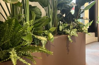 Marotta Fine Gardening - Artigiani del Verde - Portfolio di Progetti per Giardini e Terrazzi di Alto Livello per Privati e Aziende - Milano