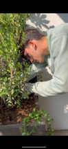 Marotta Fine Gardening - Artigiani del Verde - Progettazione e Realizzazione di Giardini e Terrazzi di Alto Livello per Privati e Aziende - Milano