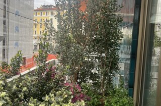 Marotta Fine Gardening - Artigiani del Verde - Portfolio di Progetti per Giardini e Terrazzi di Alto Livello per Privati e Aziende - Milano