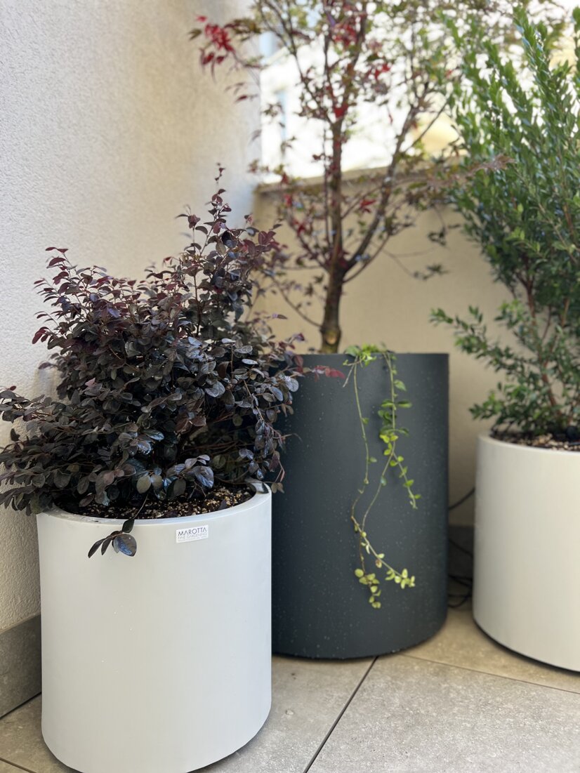Marotta Fine Gardening - Artigiani del Verde - Portfolio di Progetti per Giardini e Terrazzi di Alto Livello per Privati e Aziende - Milano