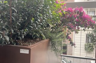 Marotta Fine Gardening - Artigiani del Verde - Portfolio di Progetti per Giardini e Terrazzi di Alto Livello per Privati e Aziende - Milano