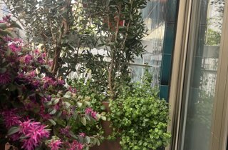Marotta Fine Gardening - Artigiani del Verde - Portfolio di Progetti per Giardini e Terrazzi di Alto Livello per Privati e Aziende - Milano