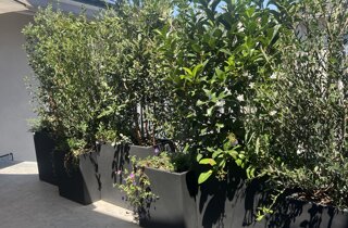 Marotta Fine Gardening - Artigiani del Verde - Portfolio di Progetti per Giardini e Terrazzi di Alto Livello per Privati e Aziende - Milano