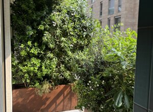 Marotta Fine Gardening - Artigiani del Verde - Galleria d'Immagini - Progettazione e Realizzazione di Giardini e Terrazzi di Alto Livello per Privati e Aziende - Milano