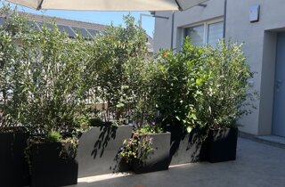 Marotta Fine Gardening - Artigiani del Verde - Portfolio di Progetti per Giardini e Terrazzi di Alto Livello per Privati e Aziende - Milano