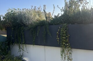 Marotta Fine Gardening - Artigiani del Verde - Portfolio di Progetti per Giardini e Terrazzi di Alto Livello per Privati e Aziende - Milano