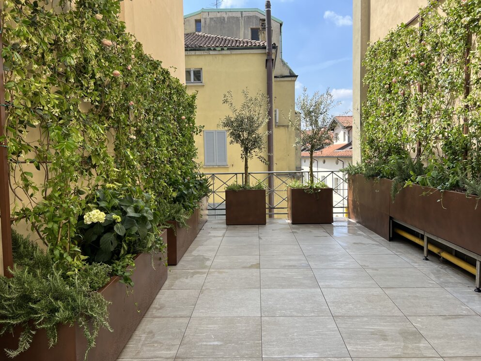 Realizzazione terrazzo a Milano per ufficio aziendale con verde su misura | Marotta Fine Gardening Gianni Birardi