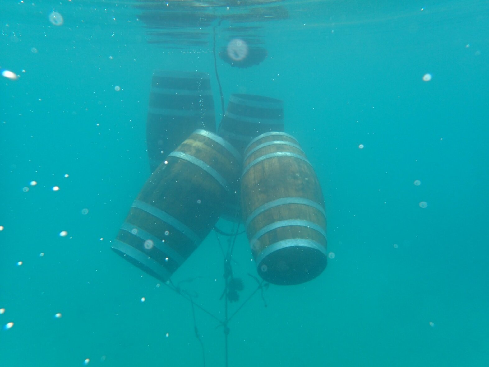 Ristorante Sestri Levante Ristoranti Trattoria Enoteca Pub