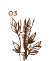 praxis dagmar prinz erfahrung praxis dagmar prinz erfahrung