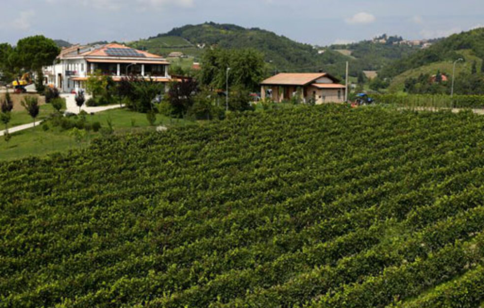 tenuta_marengo_2.jpeg tenuta_marengo_2.jpeg