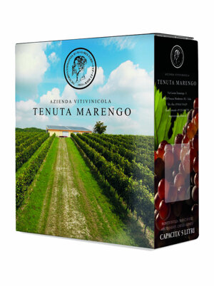 organic-viognet-grapes-white-wine-v-uve-viognet