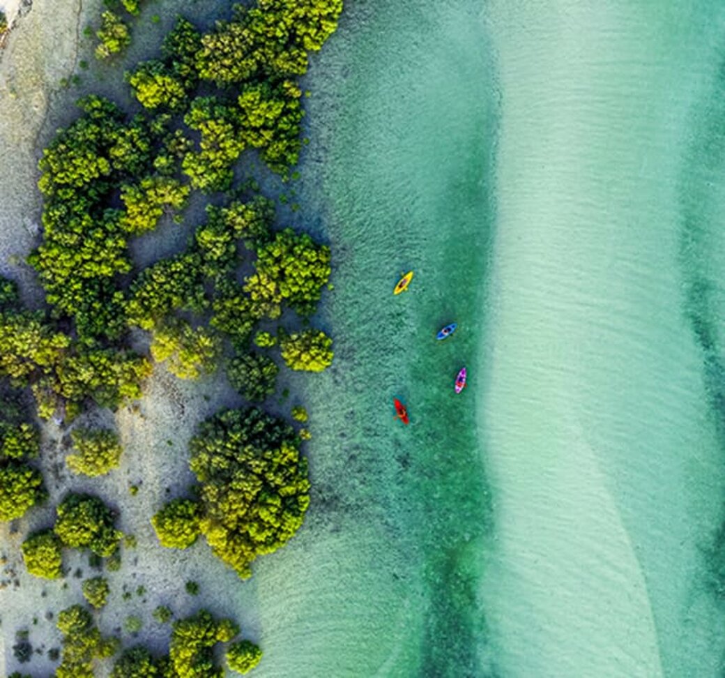 Aerial view of mangrove forest, turquoise water and kayaks Aerial view of mangrove forest, turquoise water and kayaks