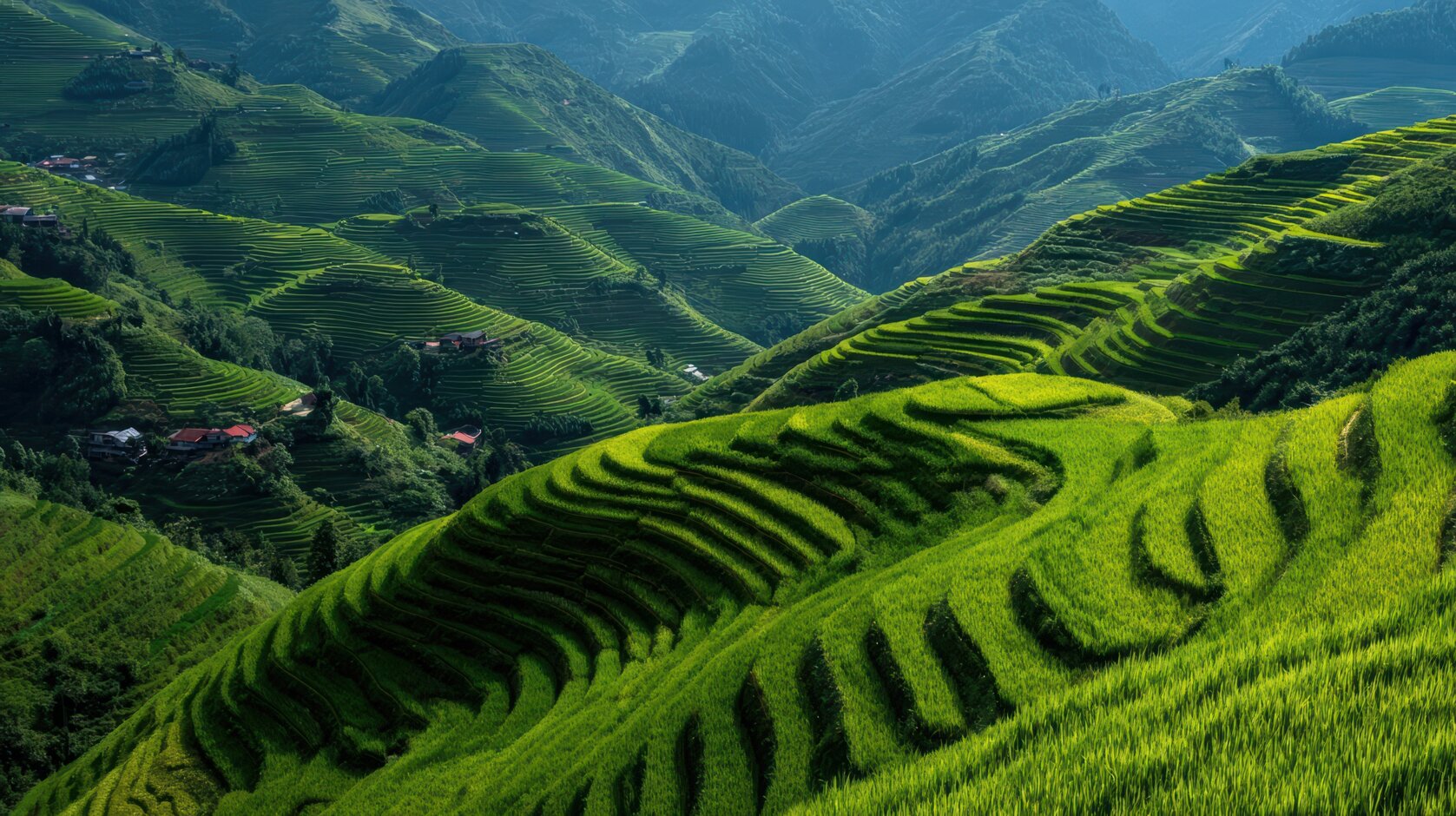 lush-green-terraced-rice-fields-mountainsides.jpeg