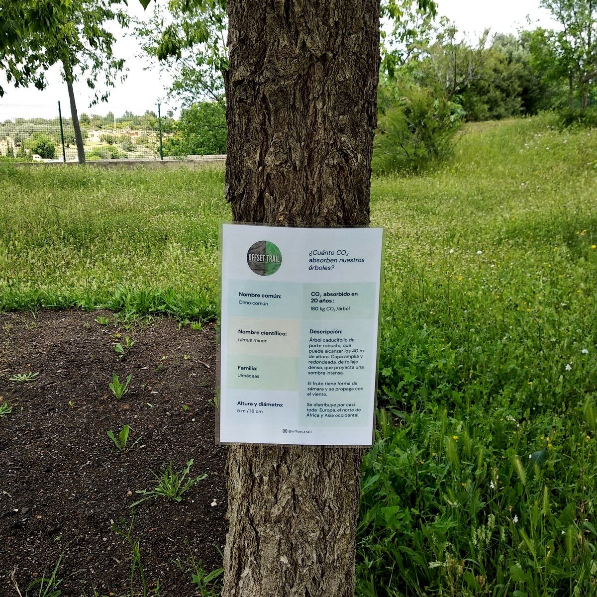 Participamos en la 1ª Feria Medioambiental de la ciudad de Cheste