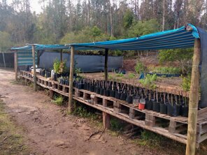 7413edbcdf503eca9416dfad8b204a2691e3080b