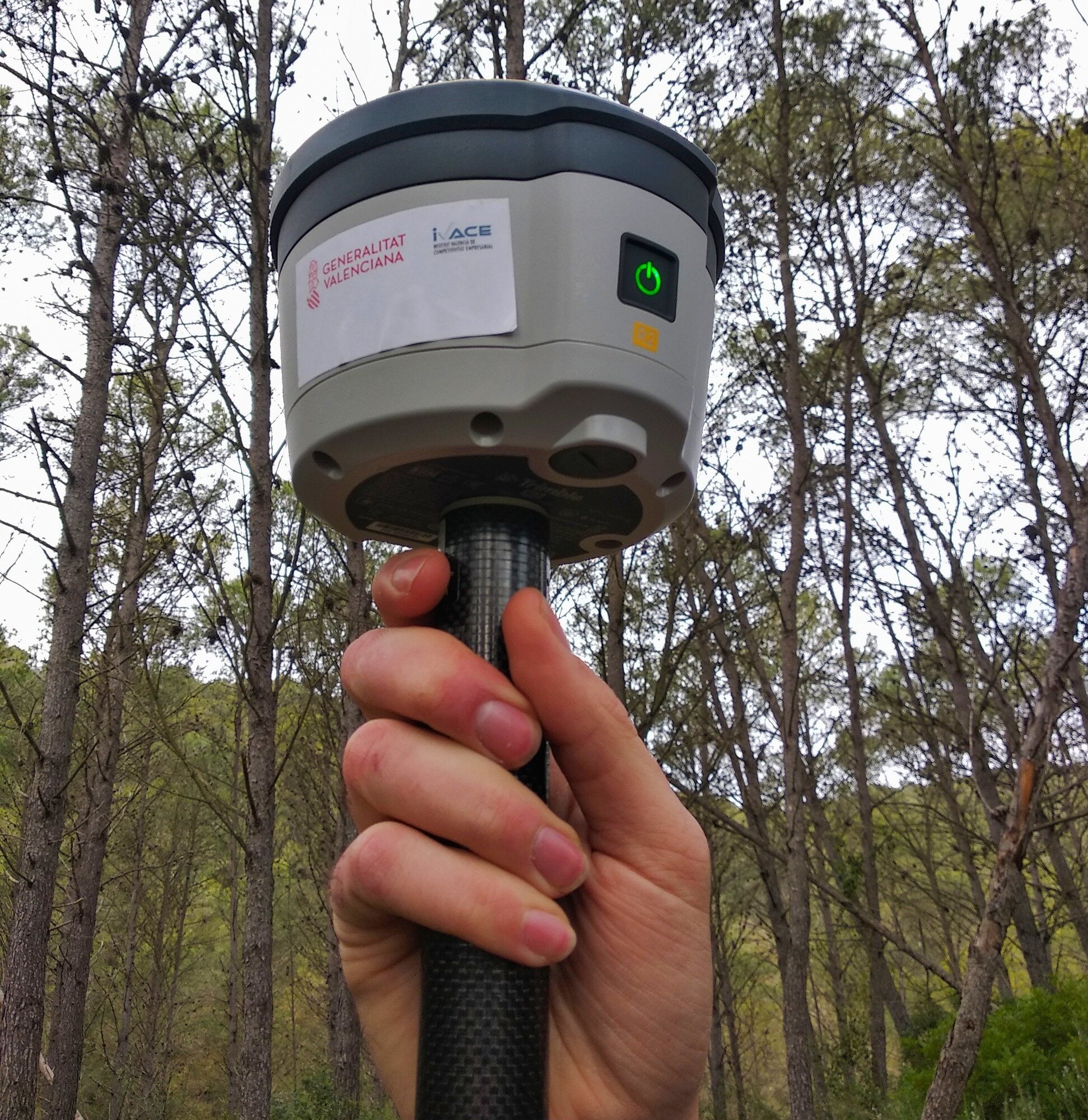 Colaboramos en el proyecto WOODFOREST SATELLITE