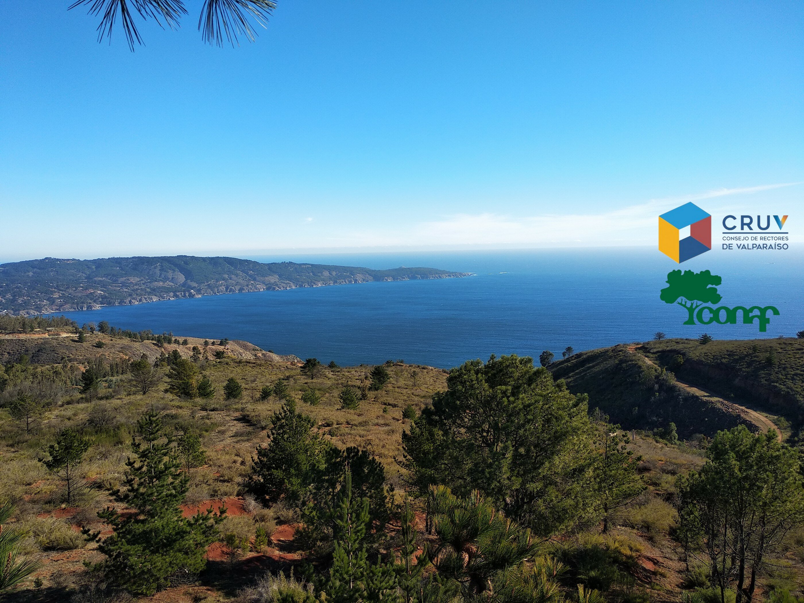 Plan de rehablitación ecológica del fundo Quebrada Verde perteneciente al CRUV (Valparaíso, Chile)