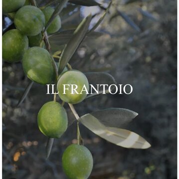 frantoio mancini - tasto 1.jpeg