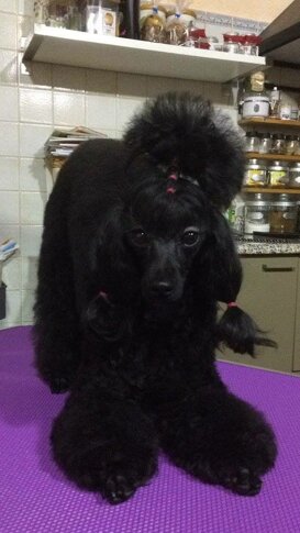 4e3466369eedb1be951ea4e9af0fd04d56e826a9 4e3466369eedb1be951ea4e9af0fd04d56e826a9