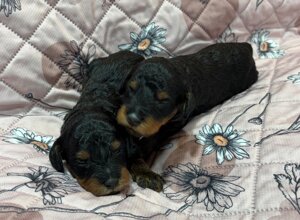 mj3.jpeg