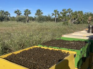 1478112847813_azienda-agricola-arena-bio