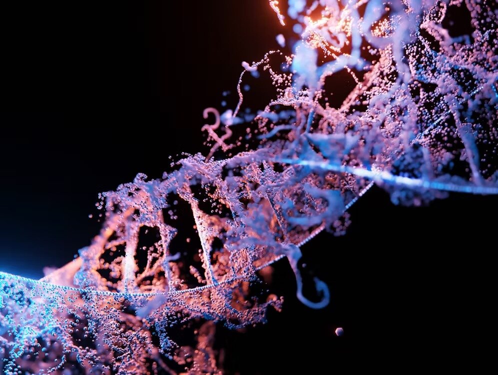 Il legame genetico tra Neanderthal e tratti autistici Il legame genetico tra Neanderthal e tratti autistici
