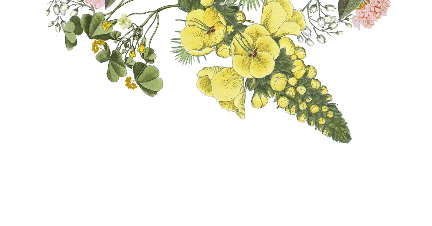 imgi_1_9c608a_7d9de449a648410da73ef0a01325f7a9 imgi_1_9c608a_7d9de449a648410da73ef0a01325f7a9