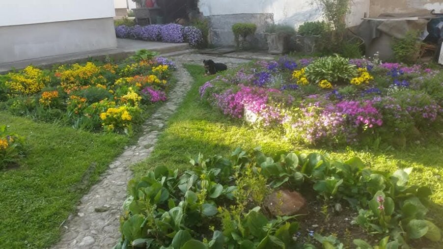 Garten des Grundstcks Garten des Grundstcks
