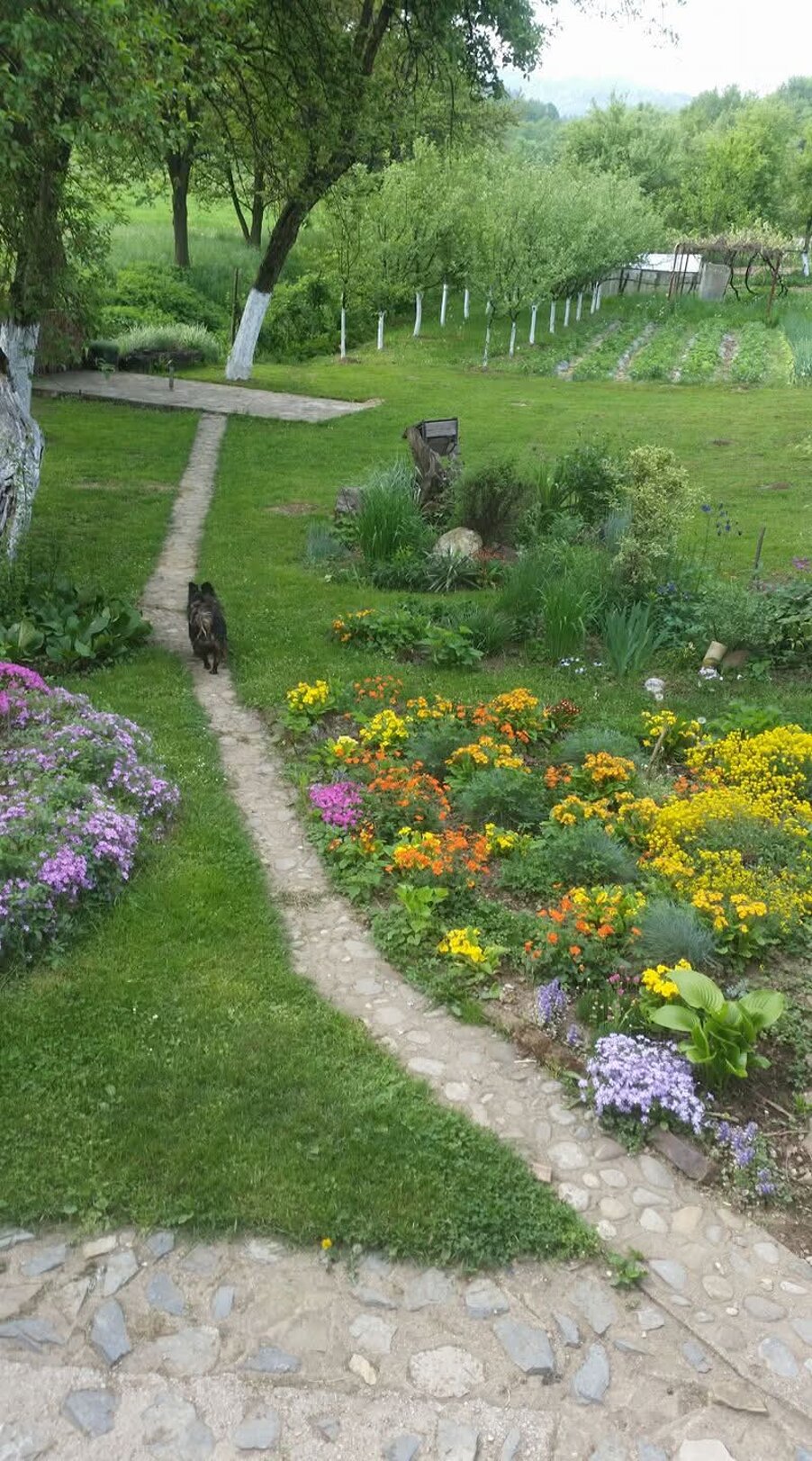 Garten des Grundstcks Garten des Grundstcks