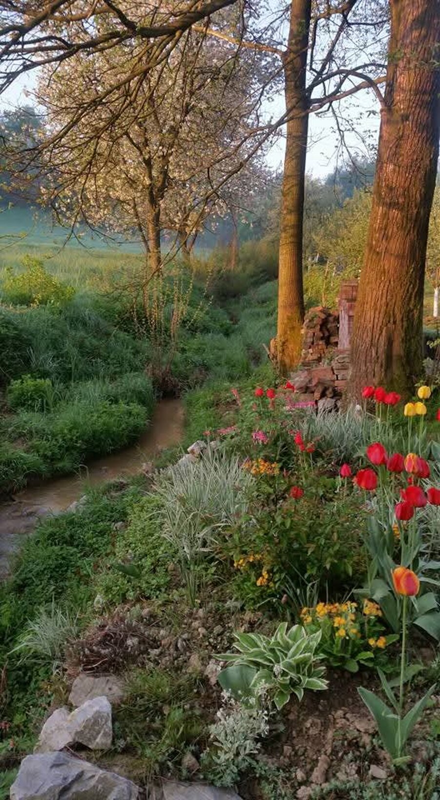 Garten des Grundstcks Garten des Grundstcks