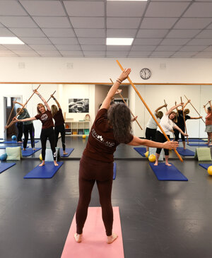 ginnastica posturale nonantola zen land