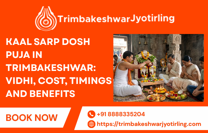 Kaal Sarp Dosh Puja In Trimbakeshwar: Vidhi, Cost, Timings And Benefits​