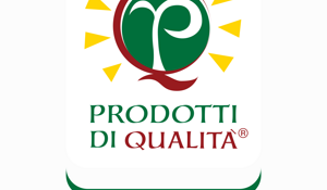 comune%20di%20martina%20franca