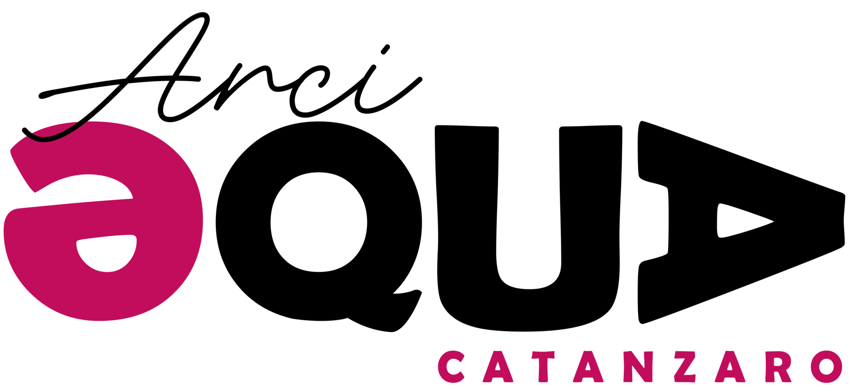 logo rettangolare logo rettangolare