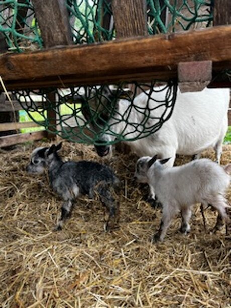 Betty mit Kindern