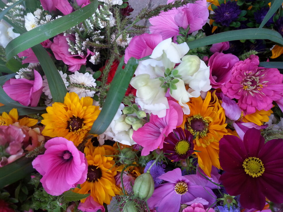 Blumen Blumen