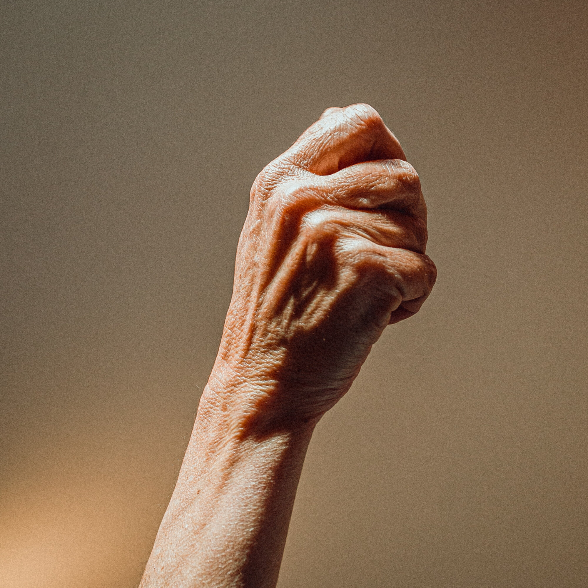 die Krake und der Armleuchter