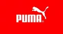 allestimenti vetrine Puma