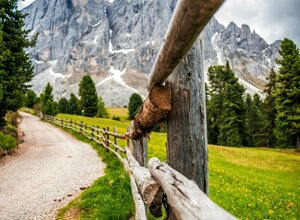 matze-bob-0dpl_9mbjxk-unsplash.jpeg matze-bob-0dpl_9mbjxk-unsplash.jpeg