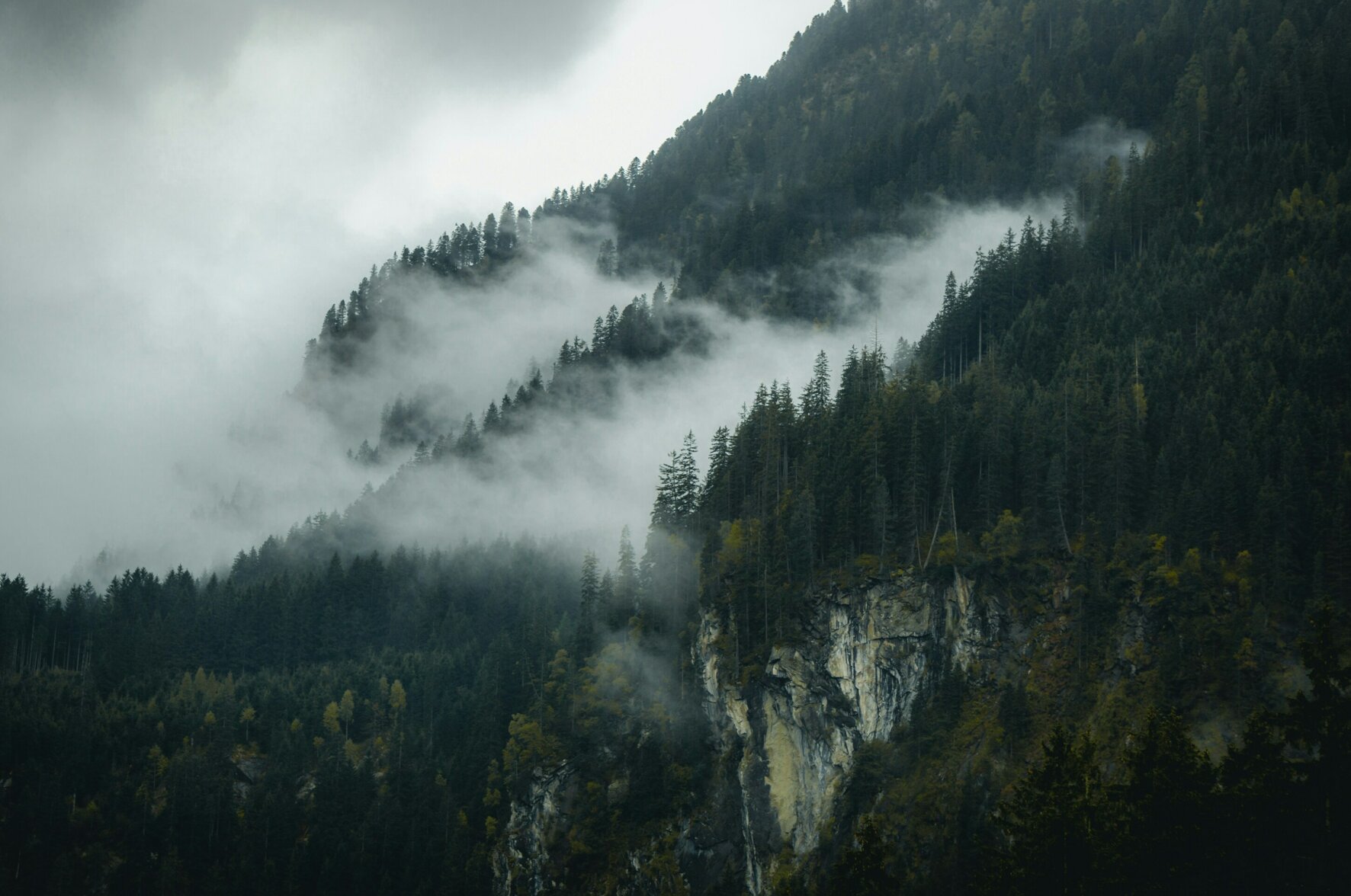 philipp-schlabs-jew8kj3nfss-unsplash.jpeg philipp-schlabs-jew8kj3nfss-unsplash.jpeg