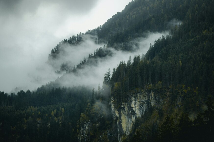 philipp-schlabs-jew8kj3nfss-unsplash.jpeg