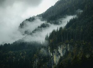 patrick-baum-8xype4ntdls-unsplash.jpeg patrick-baum-8xype4ntdls-unsplash.jpeg