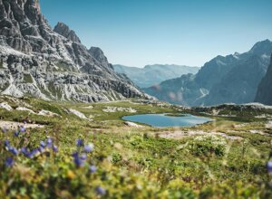 olivier-miche-ozacaauskhg-unsplash.jpeg olivier-miche-ozacaauskhg-unsplash.jpeg