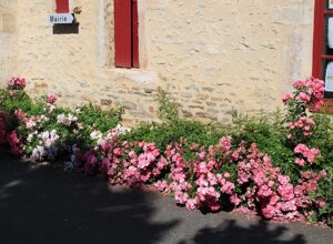 img_4914.jpeg