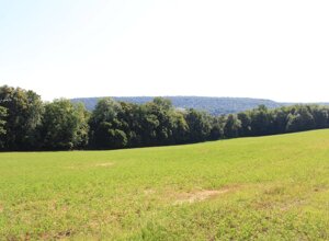 img_4920.jpeg