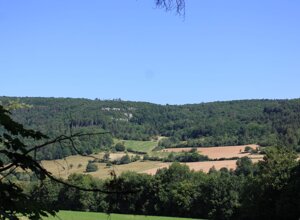 img_4921.jpeg