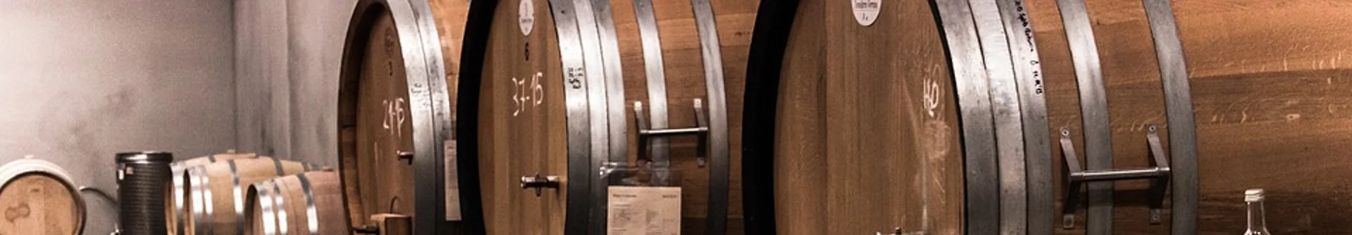 Bottiglie di vino allineate
