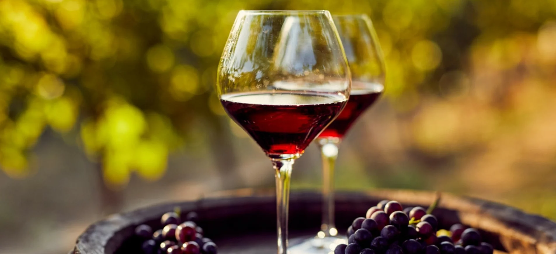 Bicchieri di vino durante un incontro Wine Speakeasy