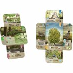 dartmoor-forest-shuffle